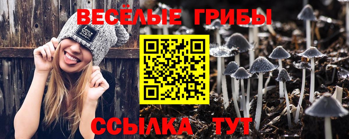 Галлюциногенные грибы Cubensis Прохладный