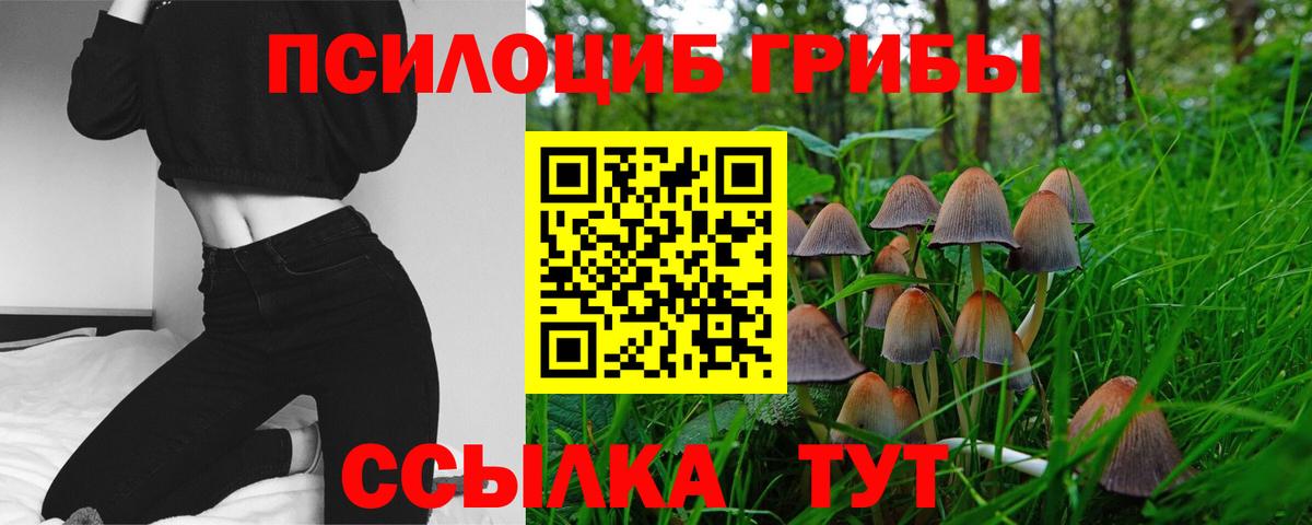 Прохладный  Галлюциногенные грибы Cubensis  купить наркотик  Вход с VPN 